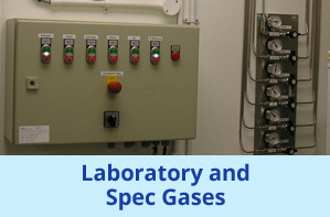 Laboratory Gas Training